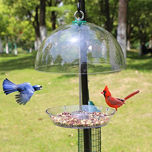 PFNRTH Rotating Dome Platform Bird Feeder, Adjustable Bird feeders for Outside Hanging, Tray with Drainage Holes Can Be Filled with Mealworms, Seeds, and Fruits Attract Bluebirds Cardinals