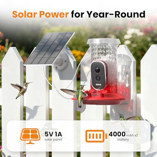 Smart Hummingbird Feeder Camera with AI Identification | AI Identification, 2.5K HD & Color Night Vision, Attract Hummingbirds, Solar Powered Outdoor, IP66 Weatherproof, Garden Decor