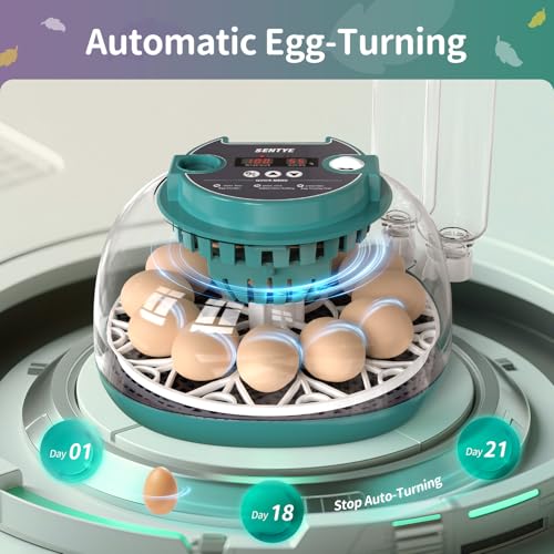 Automatic Egg Incubator for Hatching Eggs with LED Temperature Display, Humidity Control & Egg Turner, Clear Lid Incubator for Chicken, Quail & Bird Eggs (12 Egg Capacity)