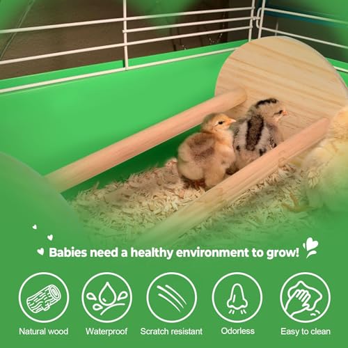 Chicken Perch 2-Pack, Heavy Duty Roosting Bars for Chickens in Coop, Large & Small Combo Set for Different Breeds, Non-Toxic Smooth Wooden Chick Perch for Poultry Resting