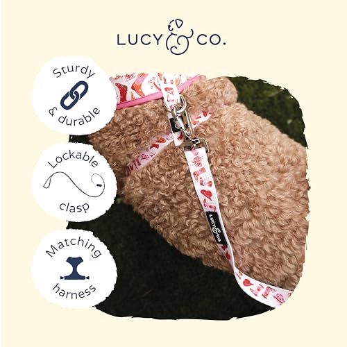 Howdy, Honey Leash - color: Howdy, Honey, size: Small