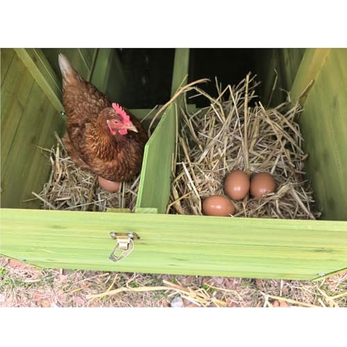 YOPTO Wooden Chicken Coop, 70 in, 2 Nesting Boxes, Green | Solid wood, Waterproof roof, 2 nesting boxes, Pull-out tray, Lockable doors, Ventilated design, Chicken perch - size: 70.0"L x 27.9"W x 31.8"H