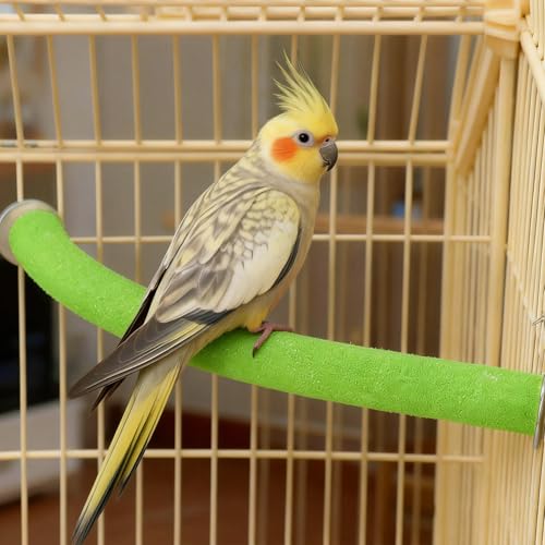 Rypet 90-Degree Parrot Perch for Cage Corner, Quartz Bird Perch (Green L) | For Paw Grinding Clean Stick Exercise, Rough Quartz Surface, Small Parakeets Cockatiel Conures - color: Green-corner-90, size: Large