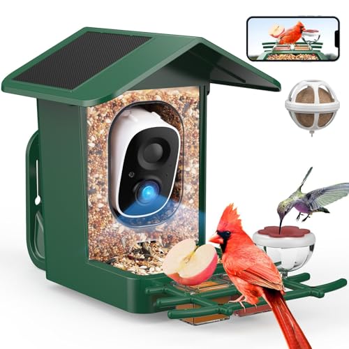 PeckCam® Bird Feeder with Camera Solar Powered 2K Live Video Auto Capture | AI Bird Species Identification, Instant App Alert, IP65 Waterproof, Easy Setup, Backyard Bird-Watching, Gift for Bird Lovers - color: Green