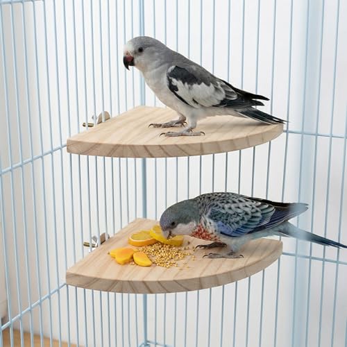 2 Pack Bird Platform Wood Flat Perches for Bird Cages Fan Shape Birds Cage Platform with Stainless Steel Washers for Birds Cages Corner Shelf Parrots Hamster Gerbil(5.1inch, 6.7inch)