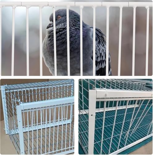 11.8in(30cm) Pigeon Cage Door One Way Entrance Door Bird T Trap Birdcage Iron Wire Trap Door for Racing Pigeon Bird Cage Breeding Supply