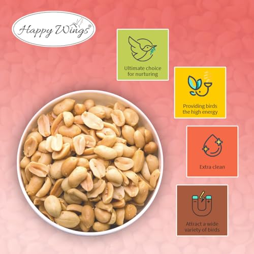 Happy Wings 10LB Shelled Peanuts Bird Food, No Grow Seeds, 100% Edible | High in Oil & Protein, High Energy Content, No Waste Bird Seeds, Heat Treated at Optimum Temperature, USDA & BRC-GS Approved - size: 5 Pound (Pack of 2)