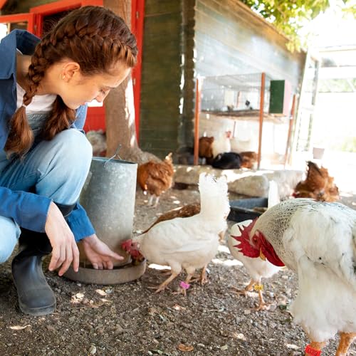 80 PCS Chicken Leg Bands, 1-80 Numbered Poultry Leg Bands 16mm Plastic Chicken Identification Rings, 8 Colors Coded Legs Band for Farmers Chickens Quail Chick Duck Bird