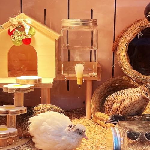 Button Quail Water Feeder Automatic Drinker with Versatile Nipple