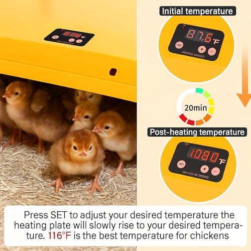 Adjustable 16x16 brooder Heating Plate for Baby Chicks, Providing Constant, efficient Warmth. Safe, Energy-Saving, Easy to Assemble and Clean. Perfect for Chicken Brooding (Blue)
