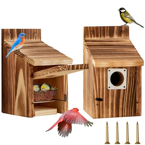 2 Pack Bird Houses for Outside, Outdoors Birdhouse Feeder for Bluebird,Cardinal,Purple Martin and Sparrow,Wooden Cedar Hanging Birds Nest,Easy to Clean,No Assembly Needed - style: Box