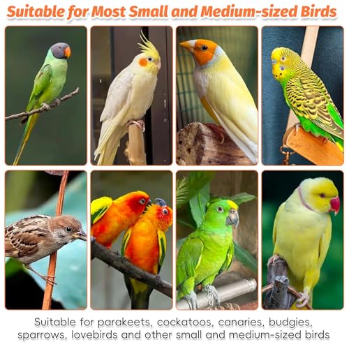 Kathson Wood Bird Playground Parrot Play Stand Bird Stand with Feeder Cups Birds Perch Stand with Ladder Hanging Swing Chewing Toys Conure Cage Accessories for Parakeet Conure Lovebird Cockatiel - size: Three floors
