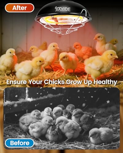 350W Dual-Mode Heat Lamp for Chickens - Long-Lasting Brooder Heater Bulb,Chick Heater with 7.87ft Cord for Chicks, Poultry & Ducklings