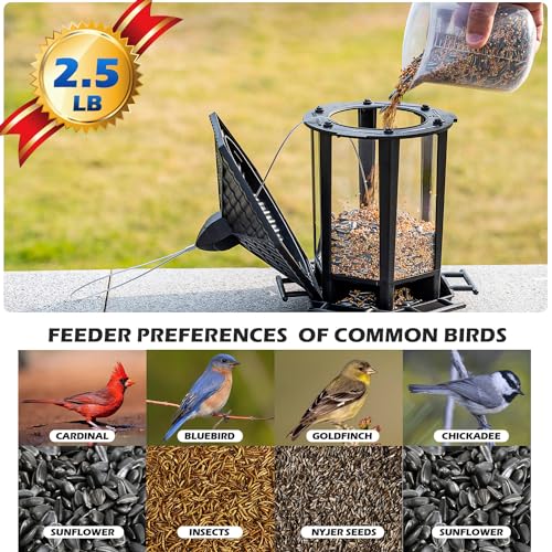 Birdream Hanging Bird Feeders, Retro Pagoda Design Fun Installation Squirrel Proof Bird Feeders, Attracting Wild Birds Chickadees Goldfinches Cardinals Finches and Sparrows - Black - color: Black, size: 1 PACK