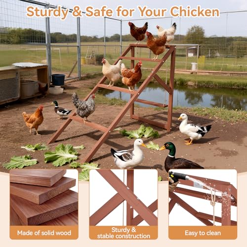 PETSFIT Wooden Chicken Roosting Bars for 8-10 Chickens, Easy Assembly | Multi-Level Design with 4 Perchs and Swings, Durable Fir Wood for Outdoor Coops,Ideal for Backyard Farms,Easy to Clean - size: 51"L x 26.6"W x 38"H