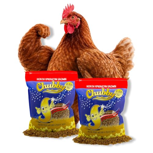 Chubby North American Grown Dried Mealworms | 5 lbs | Non-GMO High-Protein Treats for Chickens, Ducks & Wild Birds – Sustainable Chicken Feed - size: 5 Pound (Pack of 2)