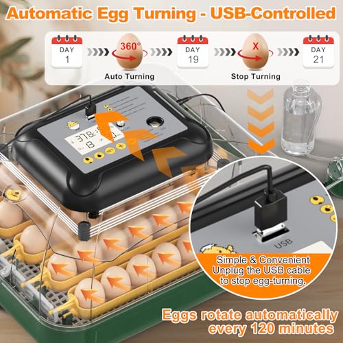 30 Egg Incubator for Hatching Eggs with Auto Egg Turning, High Precision Temperature & Humidity Display, Hatch Day, Egg Candler, Upgraded Motor, Incubator for Hatching Chickens, Higher Hatch Rate