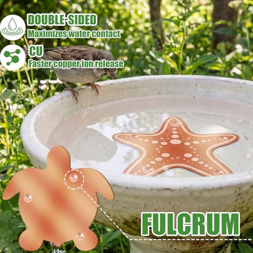 4 Pack Pure Copper Disk for Bird Bath Water Cleaner,Ocean | Triple-point Support, Outdoor Bowl Purification, Algae Prevention Safe, Pure Copper Discs, Flower Petal Design Shapes - size: Ocean