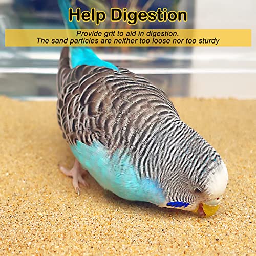 S&X Bird Cage Liners 17 x 11in, 120-Pack, Disposable Gravel Paper Sheets | Thick, flat gravel paper eases cage cleanup – gritty surface helps trim claws & beaks – pre-cut to fit common cage trays - size: 17" x 11" - 120PCS