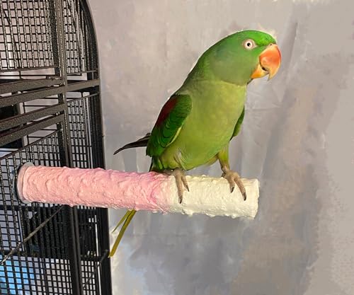 Polly's Edible Cuttlebone Calcium Bird Cage Perch for Budgies, Parakeets, Amazons, Blue & Golds, Macaws and Cockatoos.… (Strawberry, Large) - color: Strawberry, size: Large