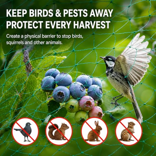 Garden Netting, 6.8 x 33 FT Bird Netting for Garden Plant Protection, Reusable Fine Mesh for Fruit Trees, Vegetable Plants, Blueberry Bushes, Raised Beds, Chicken Coop (6.8x33ft) - size: 6.8X33FT