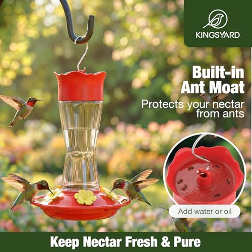 Kingsyard Glass Hummingbird Feeder for Outdoors Hanging, 10 oz Leak-Proof Humming Bird Feeders with Ant Moat & Bee Proof Feeding Ports, Hummingbird Gift for Bird Lovers (Clear) - color: Clear