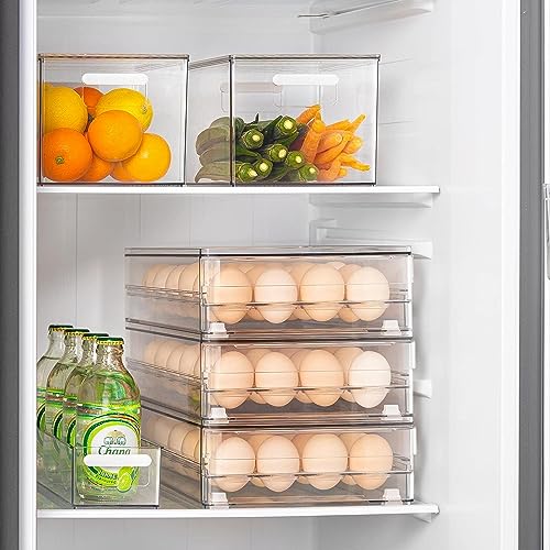 Egg Holder for Refrigerator, 48 Capacity Clear Egg Storage Drawer with Non-Slip Pads, Stackable BPA-Free Egg Organizer Tray for Fridge - color: 2Pack-Clear