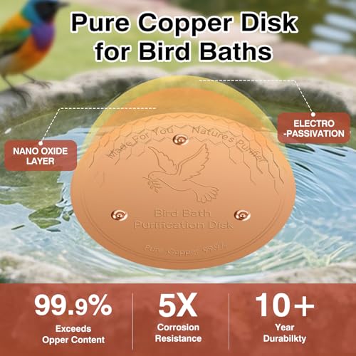 Bird Bath Copper Disc- Reinforced 99.99% Pure Copper Bird Bath Purification Basin with Three-Point Support Providing Physically Safe Clean Water Suitable for Outdoor Bird Baths