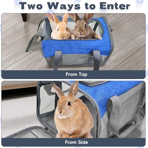 PINVNBY Bunny Carrier for Travel Camping Outdoor, Small Pet Carrier, Guinea Pig Carrier, Breathable Pet Portable Hand Bag for Hamster Rabbit Guinea Pig (Blue & Gray) - color: Blue & Gray