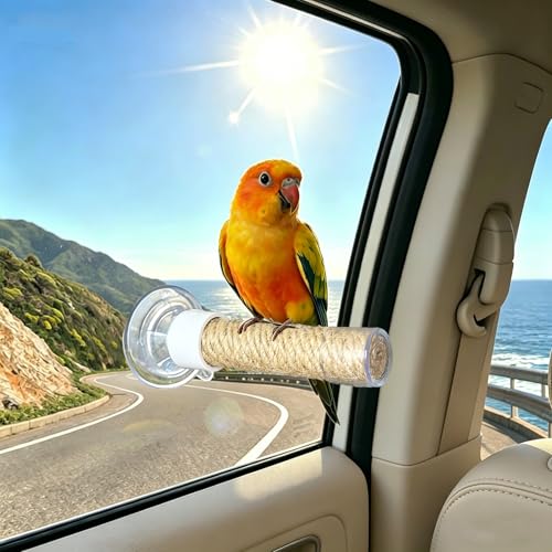 Window Perch for Birds Suction Cup Bird Perch of Car Travel for Cockatiel