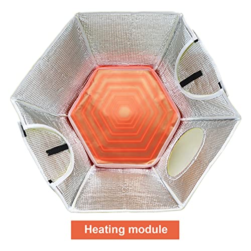 Large Chick Brooder Heating Plate Chick Brooder Box 21.6" Heat up to 50 Chicks, Chick Warmer Chicken Coop Heater Poultry Brooder for Chick Duckling Quail Goose Bird Hatchling | 21.6" Heat up to 50 Chicks, Chick Warmer Chicken Coop Heater Poultry Brooder f