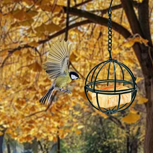 4 Pcs Balls Suet Feeders Metal Hanging Birds Feeder with Hooks for Outside Hanging Fat Ball Bird Feeders Outdoor Garden Wild Birds