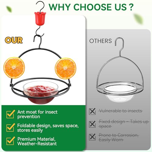 2 Pack Metal Oriole Feeders for Outdoors Hanging with Ant Moat and Fruit Holder, Oriole Feeder with Glass Bowl, Easy to Disassemble and Wash, Bird Feeder for Garden, Outdoor, Gift (Black)