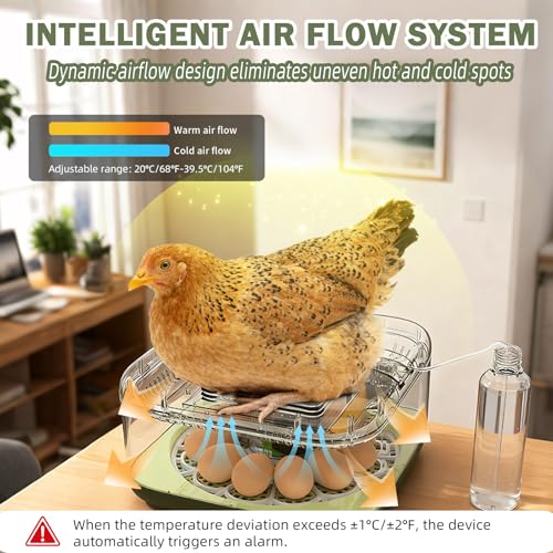 XOTTI Incubator for Hatching Egg, 12 Egg Incubators with Temperature and Humidity Control, Automatic Turner, Candler, 360° Viewing for Dry Hatch Chicken, Duck, Quail, Goose, Parrot and Pigeon - size: 12 Eggs