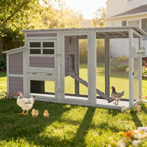 Aivituvin Chicken Coop Hen House, Large Outdoor Wooden Poultry Cage with Ramps, Run, Nesting Box, Removable Tray, Weather-Proof Chicken Cage (Grey, AIR31) - color: Grey, size: 74.9"L x 26.0"W x 39.4"H