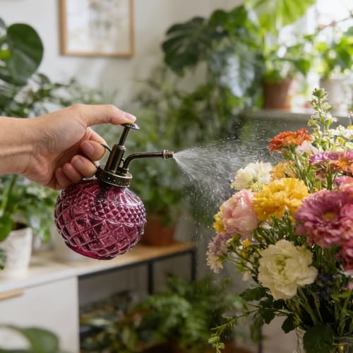 Plant Mister, Amaranth Glass Decorative Vintage Spray Bottle 10 oz | Glass Mister with Plastic Pump, 300ML Small Watering Can Decorative for Indoor Outdoor Succulent Garden Cleaning Empty Bottle - color: B-Amaranth