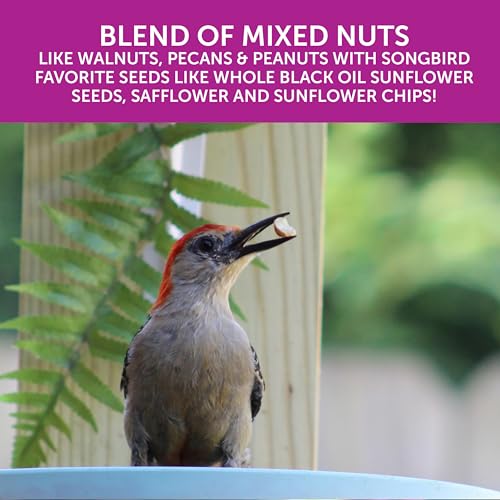 Pennington Ultra Double Nut, Nut & Fruit Blend 10lbs | Fruit and nut bird seed, mixed nuts and real fruit, compatible with tube, hopper, platform and gazebo feeders