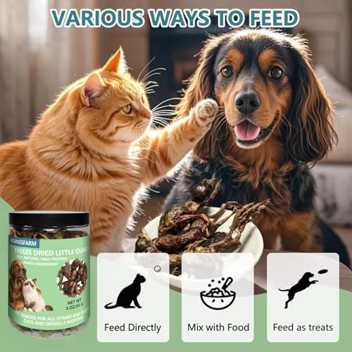 Freeze Dried Little Quail, 3 Oz Quail Dogs Cat Treats, Single Ingredient Freeze Dried Cat and Dog Treats Delicious Training Snacks, Natural Food Healthy Animal Protein Pet Food - size: 3 Ounce (Pack of 1)