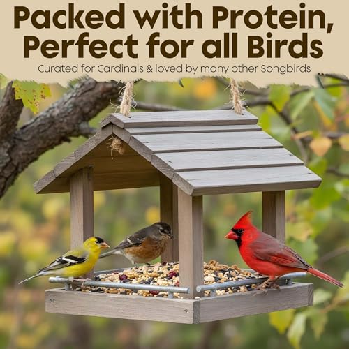 Cardinal Bird Seed, Sunflower Seeds, NutraSaff, Peanuts & Mealworms, 5lb | Premium No Filler Blend to Increase Wild Bird Activity, Attracts Cardinals & Various Songbirds to Backyard Feeders, USA Made