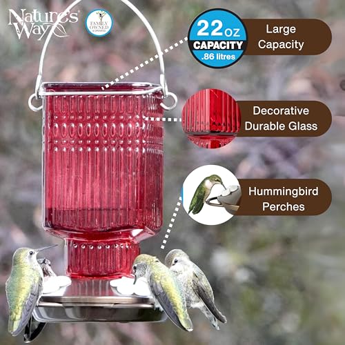 Nature's Way Hanging Glass Hummingbird Feeder for Outdoor Decor, 22 Ounce Capacity Nectar Feeder, 4 Easy to Clean Flexible Ports, Red