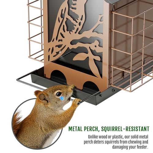 Birdream Bird Feeders for Outdoors, 5 Lbs Metal Bird Feeder with Double Suet Cages, 2 in 1 Mixed Seeds Suet Feeder, Large Capacity & Weatherproof Metal Roof, Attract Cardinals Wildbird Woodpecker