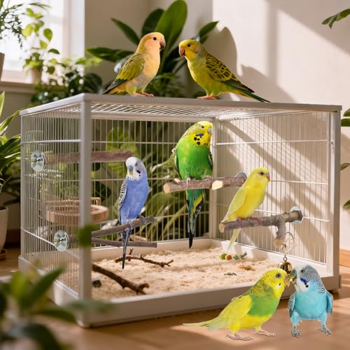 6 Pack Natural Wood Bird Perches for Cage, Wooden Parrot Perch | Wood Bird Stand Toy, Hardwood Branches, Climbing & Chew Toy for Bird Cage Accessories, Ideal for Parakeets Budgies Cockatiels - size: Medium Size-6 Pack