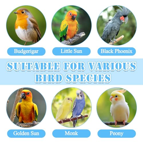 Bird Leash with 4 Different Size Foot Ring, Parrot Flying Rope Elastic Bird Harness Flying Leash Outdoor Training Traction Rope for Conure Cockatiel Parakeet Macaw Budgerigar