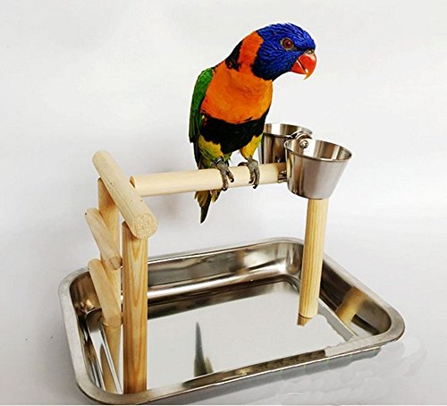 Stainless Steel Parrot Parakeet Cockatiel Food Water Bowl Pet Bird Cage Hanging Hook Feeding Double Cups Bowl Clip Stand Perch Birdcage Stand Accessories