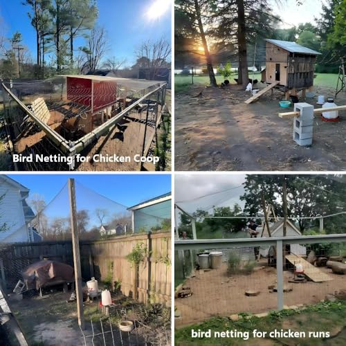 25x100 FT Heavy Duty Bird Netting for Chicken Coop & Garden | HDPE Poultry Netting Fence 1 Inch Diamond Mesh, Fruit Tree Vegetable Protection from Birds Deer Squirrels - size: 25x100 FT