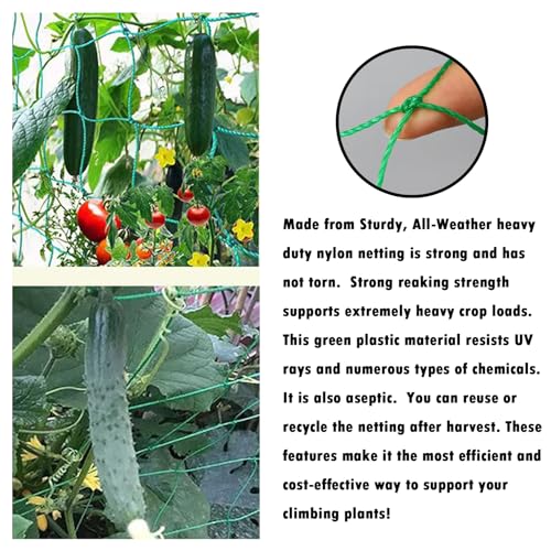 Trellis Netting for Climbing Plants - Heavy Duty Garden Trellis Netting for Cucumber, Vine, Fruits & Vegetables Tomato Plants Trellis Net, Climbing Vining Plants (1 Pack 7 x 10Ft)