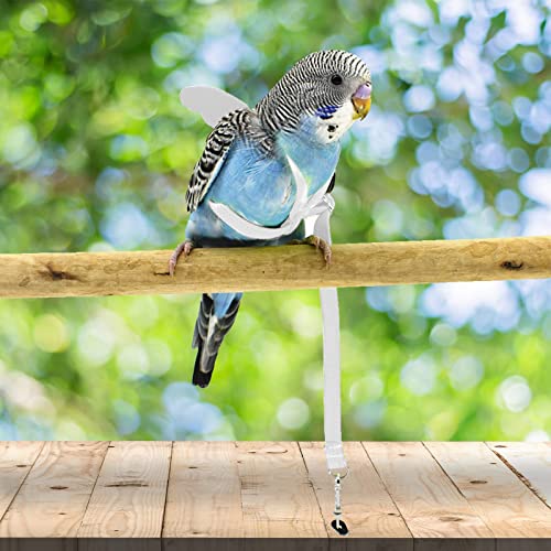 Pet Parrot Bird Harness and Leash, Adjustable Training Design Anti-Bite, Bird Nylon Rope with Cute Wing for Parrots, Suitable for Alexandrine, Scarlet, Keck, Mini Macaw Same Size Birds (White) - color: White