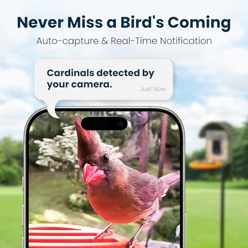 Smart Bird Feeder with Camera, Green | 2.5K UHD, AI Bird Species Identification, Solar Powered, 2.4G WiFi, IP66 Waterproof Outdoor, Instant Alerts, Gift - color: Green