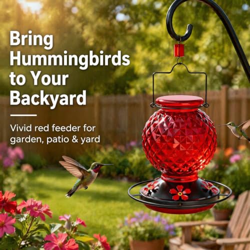 Glass Hummingbird Feeder for Outdoors, 20 Oz Bird Nectar Feeder with Ant Moat, Hummingbirds Feeders for 4 Feeding Ports, Hanging for Garden Backyard Decor (Red)