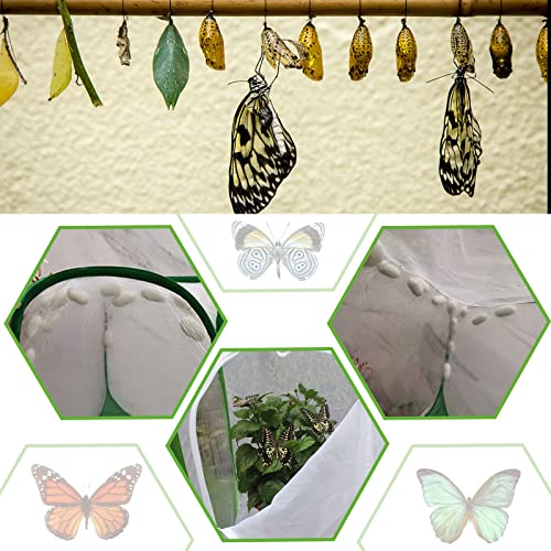 EATAKWARD 36" Mesh Plant Enclosure, Foldable Mesh Cage for Breeding, Grow Tent Plant Cover for Fruit, Vegetables, Pests, Bird and Pest Protection Guard for Flowers and Herbs Pop-Up Cage - size: 35.4'' X 23.6'' X 23.6''